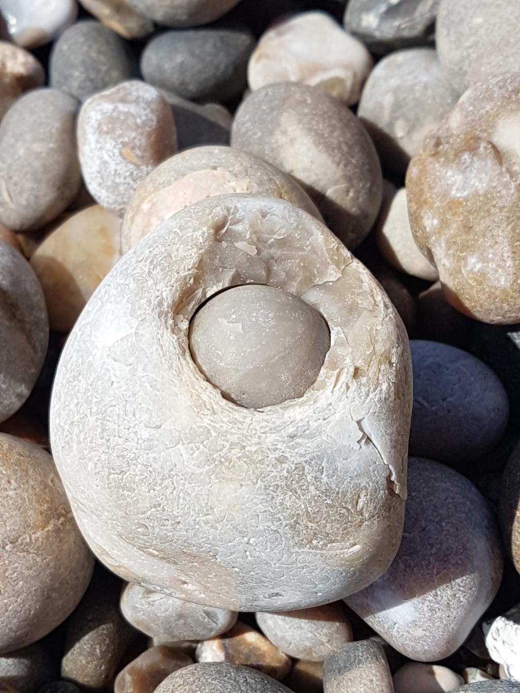 عثر أحدهم على هذه الصخرة داخل صخرة أثناء نزهة على الشاطئ