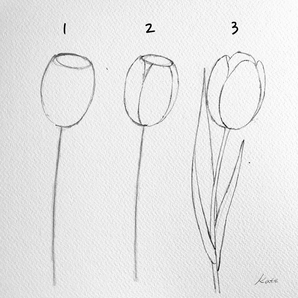 تعلم مع هذه الفنانة الكورية طريقة رسم الزهور الجميلة خطوة بخطوة