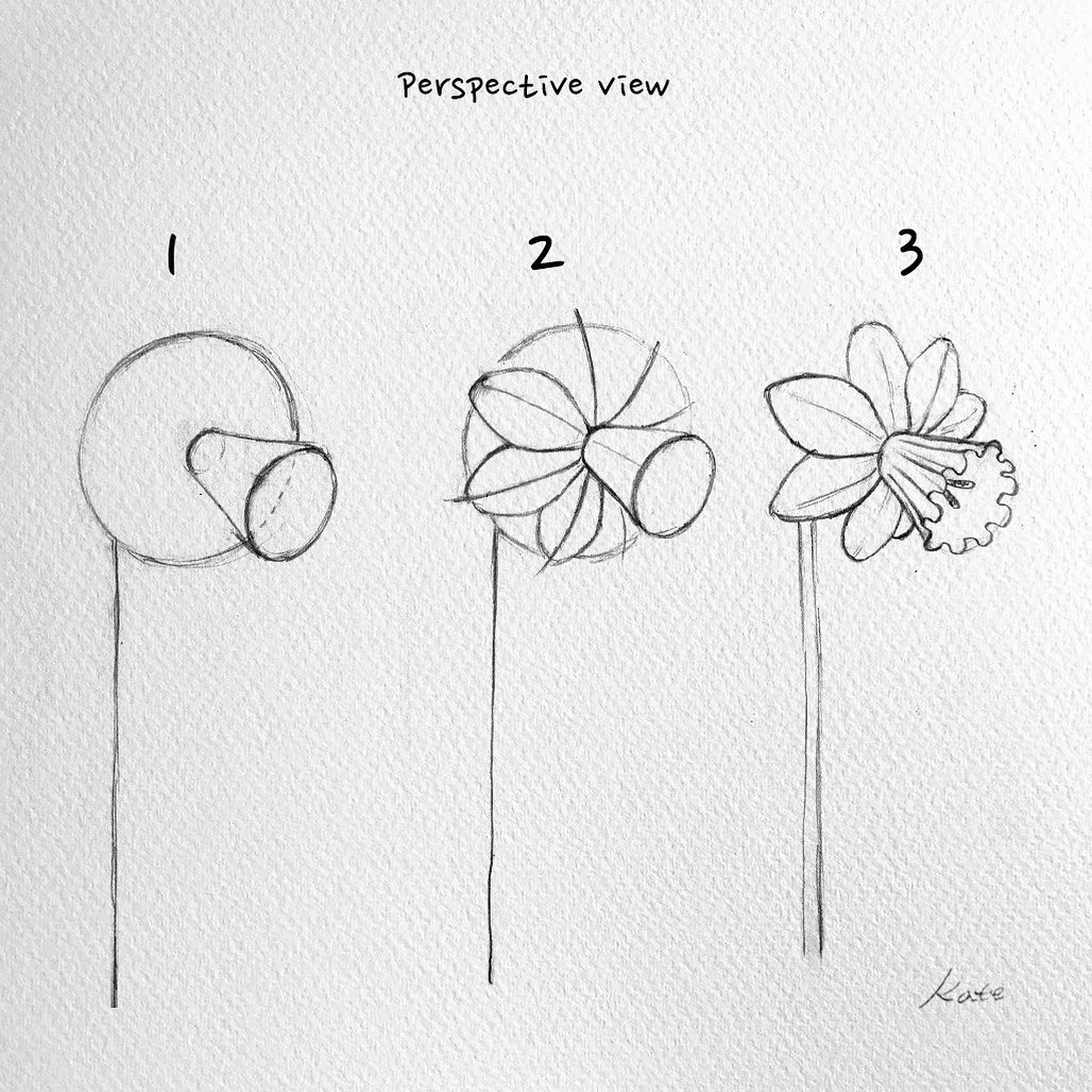 طريقة رسم زهرة