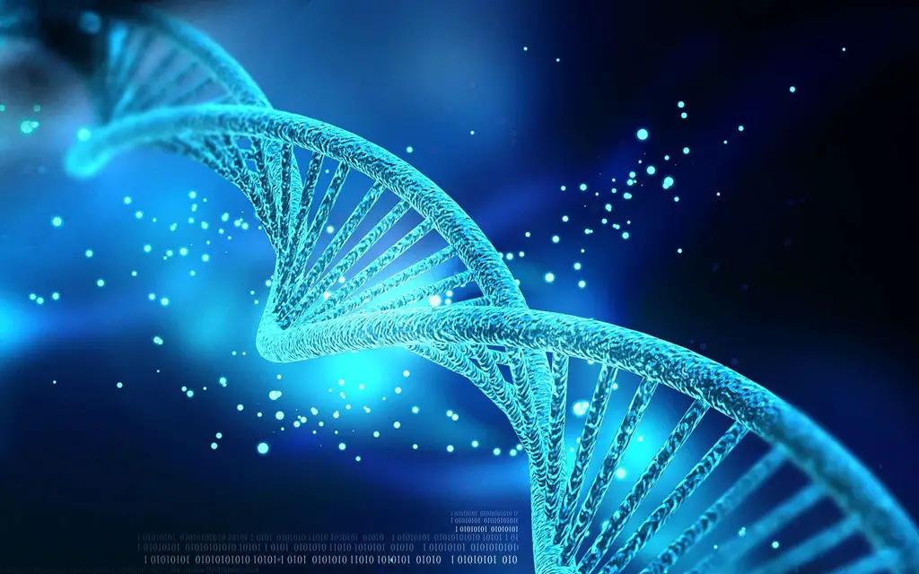 جاء اكتشاف الحمض النووي عام 1967، بعد آلاف السنين من الإيمان بالمذهب الحيوية.