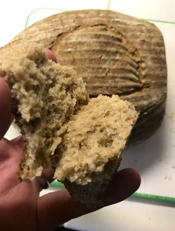 خبز معد من خميرة عتيقة.
