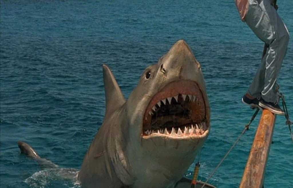 مشهد من فيلم Jaws
