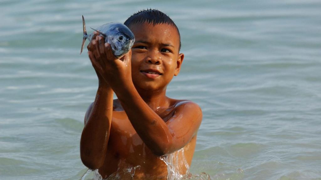 طفل تايلاندي يحمل سمكة