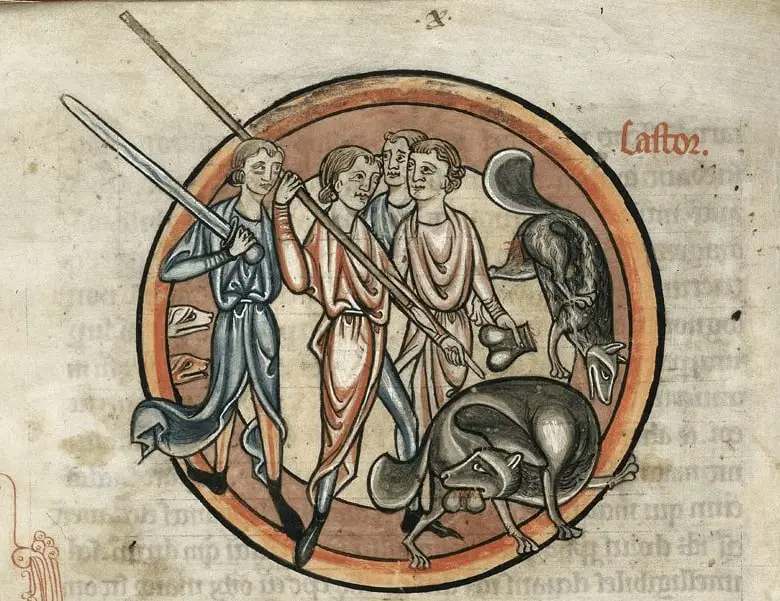 يقوم القندس بإخصاء نفسه لكي يحمي نفسه من الموت، الرسم من موسوعة (Harley) ، إنكلترا، بين 1230م و 1240م. الصورة: British Library