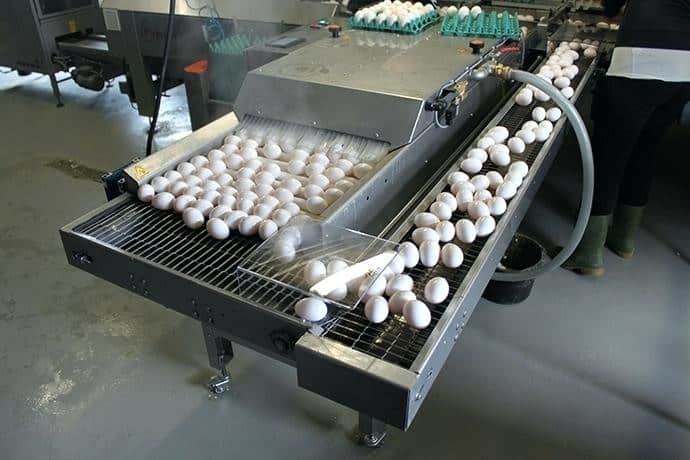 آلة غسل بيض أمريكية