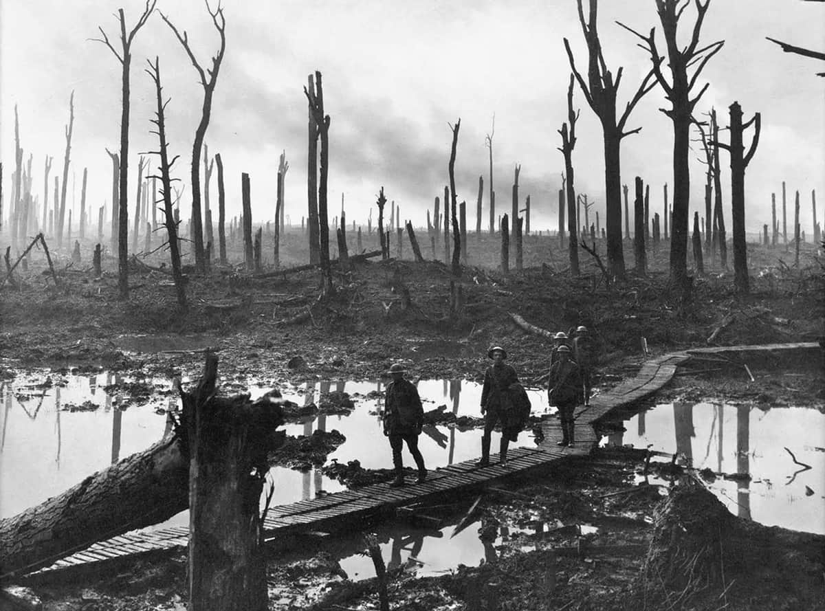 الغابة الميتة في معركة باشينديل. صورة: James Francis Hurley/State Library of New South Wales