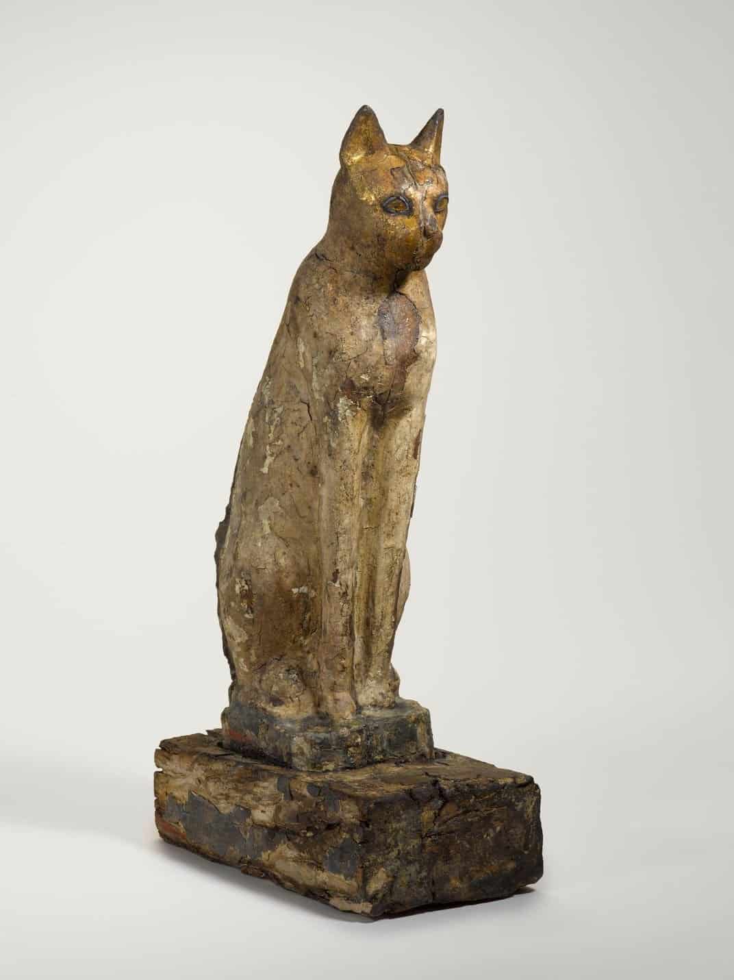 مومياء قطة مصرية محنّطة.