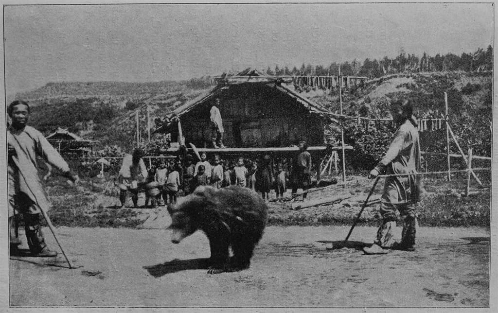 مهرجان دببة حوالي سنة 1903.