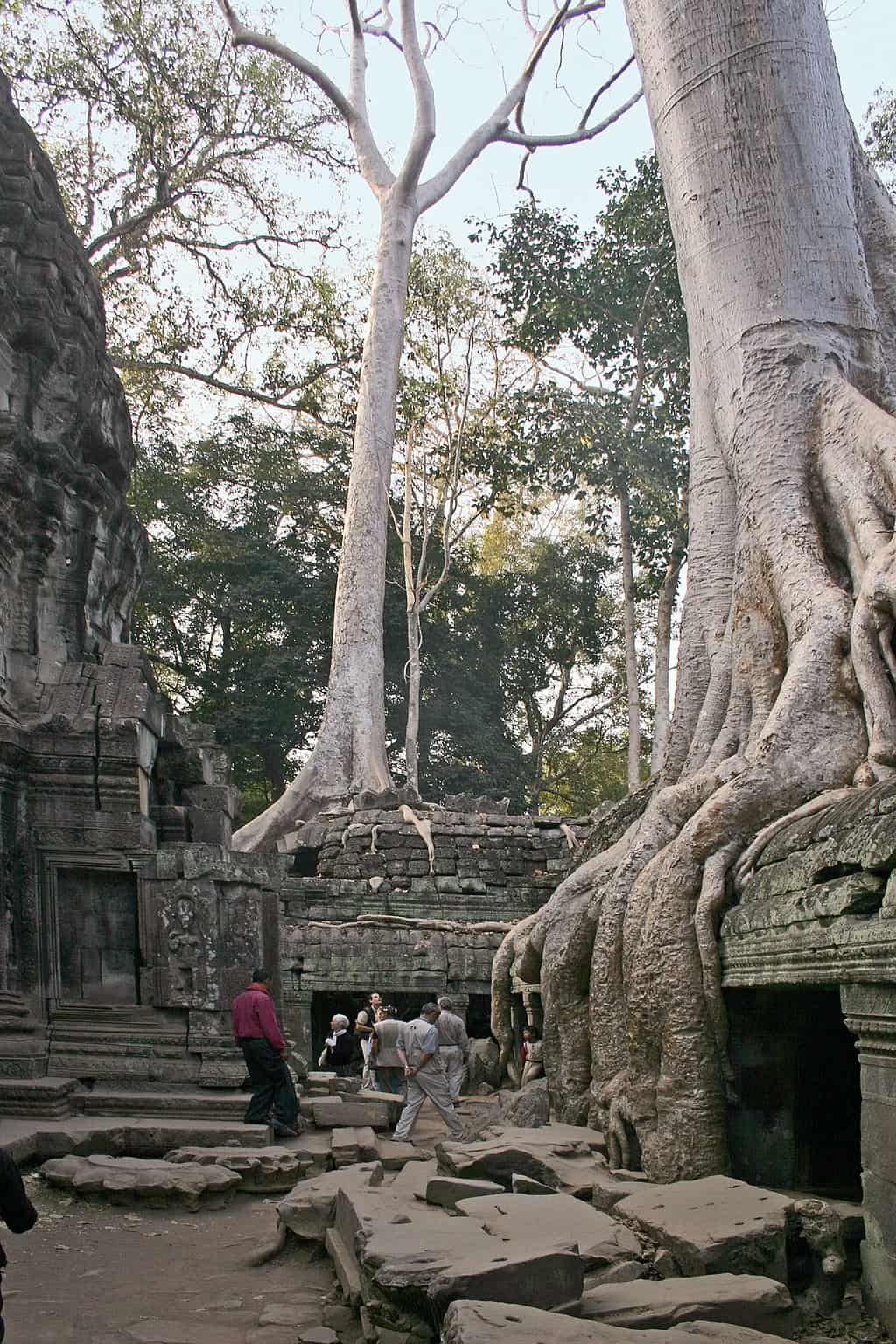 معبد تاب هوم في كمبوديا