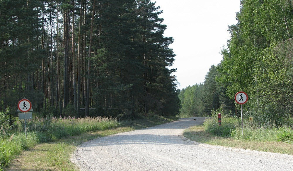 الطريق غير المعبد الذي يمر عبر جزمة ساتسي بين روسيا وإستونيا.