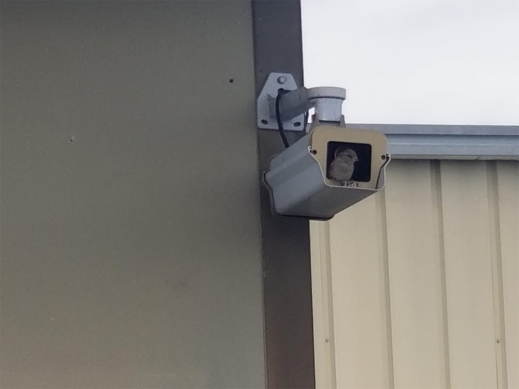 كاميرا مراقبة